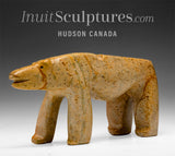 VINTAGE 10" Bear by David Ruben Piqtoukun *Blood Orange*