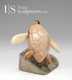 4" Sea Turtle by Harrison Miklahook Jr. *Hey, Dude!*