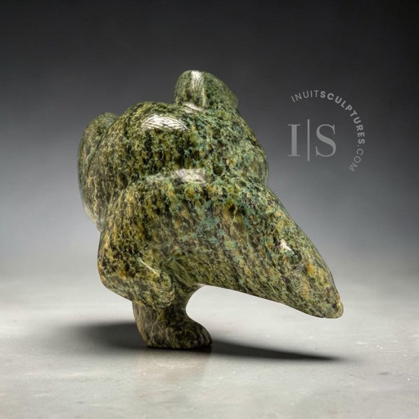 Ours de plongée 5" 4 voies par Isaaci Shaa *Lightening Strike*
