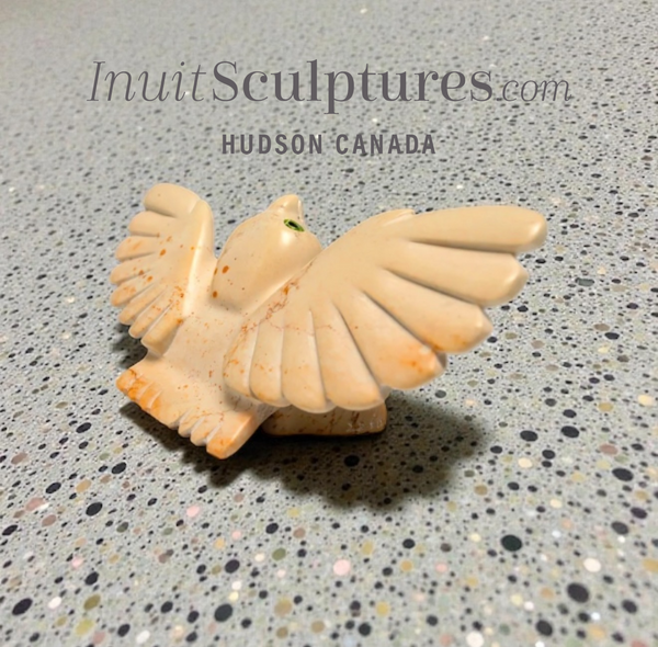 6" Owl by Toonoo Sharky * Minion #5 - Christmas Day*