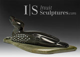 9" Loon Protecting Her Nest by Isaac Amitook *Watch Your Step*