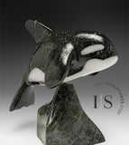 6" SIGNATURE Orca by Johnnysa Mathewsie *Family Jewels*
