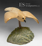 5" Bird in Flight by Kelly Etidloie *Breezy Days*