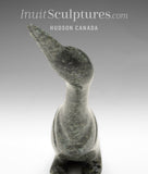 13" SIGNATURE Swan by Ning Ashoona *Wayfarer*