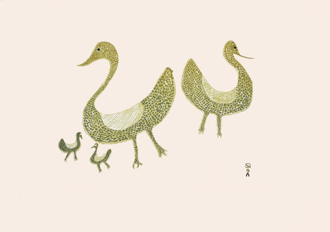 2018 Spring Release by SHARNI POOTOOGOOK *Family of Birds 1965*