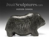 VINTAGE 9" Muskox by Barnabus Arnasungaaq  *Lost in Thought*