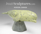 10" Beluga Whale by Ooloopie Killiktee *Whistle*