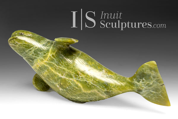 5" Beluga Whale by Pits Qimirpik *Voyager* EXHIBITION PIECE AUG 14