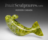 5" Beluga Whale by Pits Qimirpik *F1*