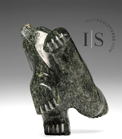 4"  Dancing Bear by Adamie Mathewsie *Rocky*