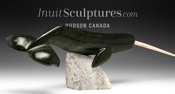 20” Narwhal by Dale Ford *Wisdom Tooth*