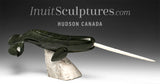 20” Narwhal by Dale Ford *Wisdom Tooth*