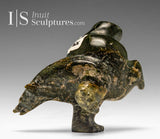 4" 2 Way Diving Bear by Isaaci Shaa *Head Strong*