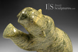 RESERVED** 20" Dancing Bear by Nuyalia Tunnillie *Float Like a Butterfly, Sting Like a Bee*