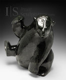 18" SIGNATURE  Sitting Bear by Nuna Parr *Mellow*