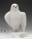 8" Snowy Owl (Uppik)  Derrald Taylor *Black Tie Affair*
