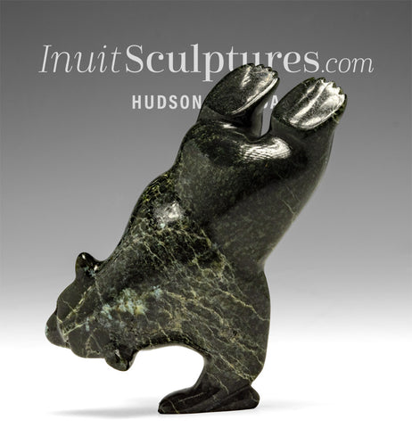 5" Diving Bear by Alusha Sharky *Wimbledon 2025*