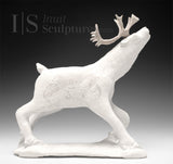 8" SIGNATURE  Caribou by Esau Kripanik *Sinner vs Alcaraz*