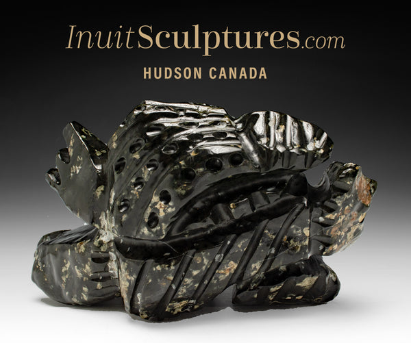 12" Transformtion by Clayton Keknek Gjoa Haven *Earth Man*