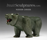 Final Piece 12" Walking Bear wth Red Tongue by Jimmy Iqaluq *Commander* Canada's Top Master Carver