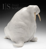 VINTAGE 13" Basking Walrus by Jimmy Kopak *Sagacious*