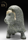 17" SIGNATURE Muskox by Lucassie Ikkidluak *The Buck Stops Here*
