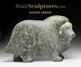 17" SIGNATURE Muskox by Lucassie Ikkidluak *The Buck Stops Here*