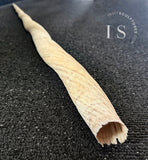 74" PERFECT TIP Narwhal Tusk Ivory