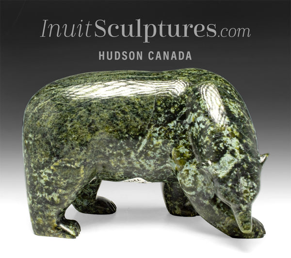 7" Walking Bear  by Noah Jaw *Marshall*