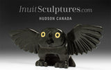 10" Owl by Toonoo Sharky *Hurrah!!*