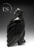 14" SIGNATURE Owl by Sam Qiatsuk *Just Look Over Your Shoulder Baby*