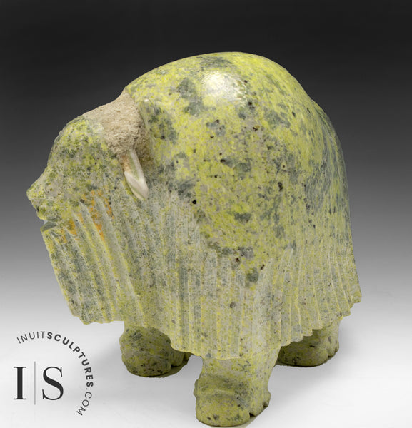 7” Muskox by Simeonie Killiktee *Granger*