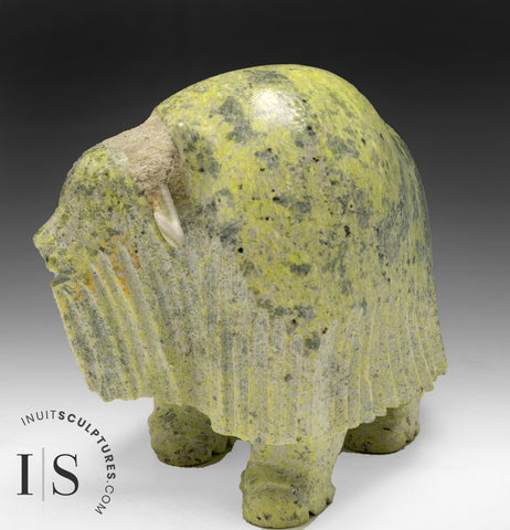 7” Muskox by Simeonie Killiktee *Granger*