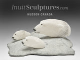 7" Swimming Polar Bears by Mazdak Darehshoripour *Cubs and Dad*