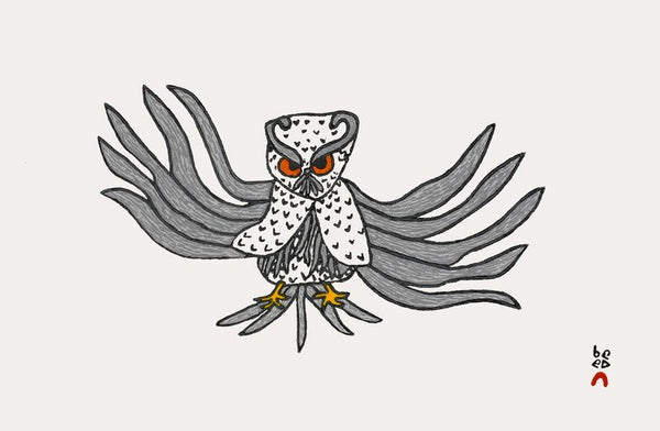 2022 PRINT Dorset Collection  by OOLOOSIE SAILA *ALMIGHTY OWL*