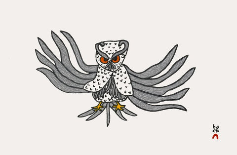 2022 PRINT Dorset Collection  by OOLOOSIE SAILA *ALMIGHTY OWL*