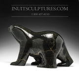 16" Striking Black Walking Bear by Ashevak Adla