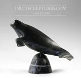 9" Beluga by Louie Uttaq Gjoa Haven *Queenie*