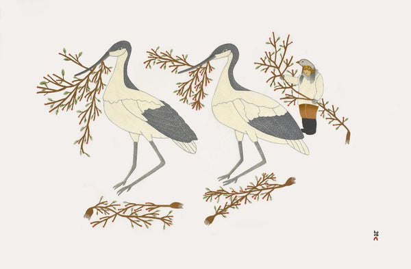 2022 PRINT Dorset Collection  by QAVAVAU MANUMIE *Collecting Berries*