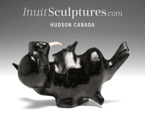 VINTAGE 8" Baby Walrus  by Pavinak Petaulassie  *Scratch My Tummy?*