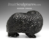 18" Muskox by Kelly Etidloie  *Richard The Musk Ox Hearted*
