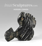 7" Fish Transformation by Clayton Keknek  *Perky*