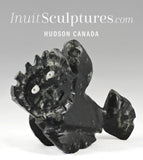 7" Fish Transformation by Clayton Keknek  *Perky*