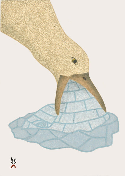 2022 PRINT Dorset Collection by QAVAVAU MANUMIE *ICY TREAT*