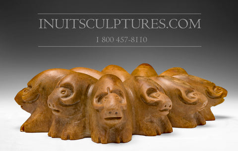 12" Muskox Circle by Jonasie Faber