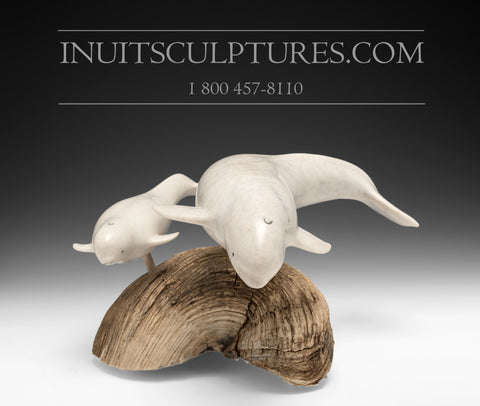 12" Mother Beluga & Calf by International Master Carver Looty Pijamini