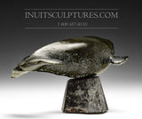 10" Beluga Whale by Louie Uttaq  Gjoa Haven *Guarding the Rear*