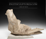 14" Walrus in Baleen by World Famous Manasie Akpaliapik