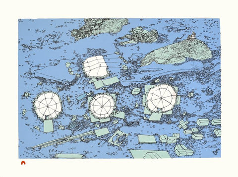 2022 LAST PRINT Dorset Collection by SHUVINAI ASHOONA *On The Land*