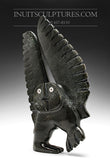13" Owl with Inlayed Eyes by Palaya Qiatsuq